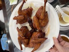 -鸽鸟轩(石岐店)