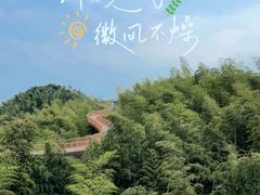 -蜀南竹海景区