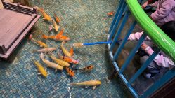 -酷嗒动物文化乐园(cutezoo西溪乐天城店)