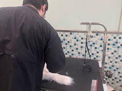 -悦宠凯宝动物医院·牙科·皮肤科(朝阳北路店)