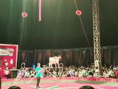 -福州罗源湾海洋世界旅游区