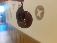 -小飞象面包公社(珠江路金鹰店)