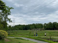 -桤木河湿地公园