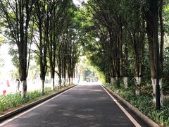 -东莞植物园