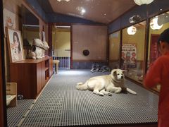 -大江户·温泉洗浴(浑南店)
