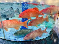 -新世纪大酒楼·30年南海菜