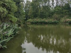 -桤木河湿地公园