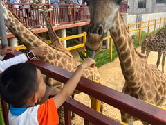 -西霞口神雕山野生动物世界