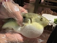 -肆月河豚·淮扬菜·湘菜(华天店)