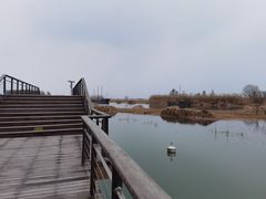 -苏州太湖湖滨国家湿地公园