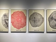 -独秀书房(出版大厦店)