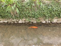 -前童古镇
