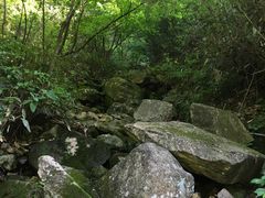 -藏龙百瀑风景区