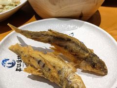 -丹江渔村(望京店)