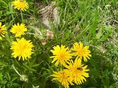 -白草畔自然风景区