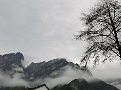 -黄山风景区