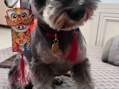 -心仪动物医院·牙专科·肿瘤·心脏科(西客站院)