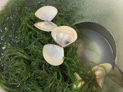 白贝海草汤-锐记美食店·现捞海鲜(闸坡店)