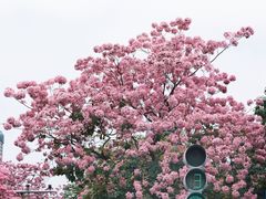 -万科前海企业公馆