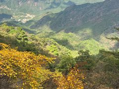 -明堂山风景区