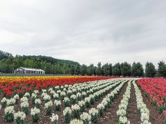 -富田农场