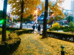 -海上海弘基休闲广场