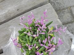 -上海吴淞炮台湾国家湿地公园