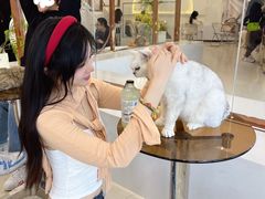-共舞时光猫咖·狗咖(新街口店)