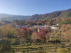 -塔川景区
