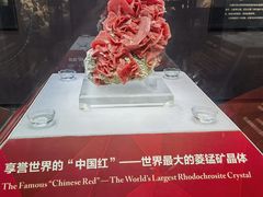 -湖南省地质博物馆
