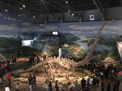 -自贡恐龙博物馆