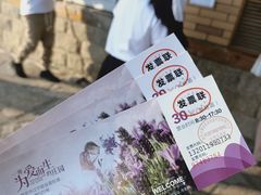 -大塘金香草谷