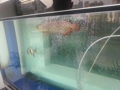 android_upload_pic-大锅强·蒸海鲜青岛菜(吾悦广场店)