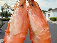 -品鲜村农家菜·阳澄湖大闸蟹(总店)