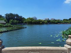 -济南大明湖景区