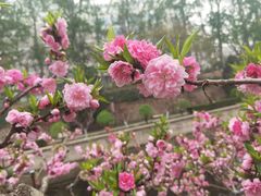 -元大都城垣遗址公园