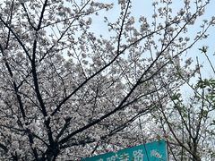 -南京城墙景区