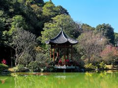 -云溪植物园