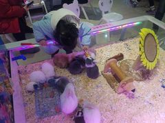 -大玩家(拱墅万达店)