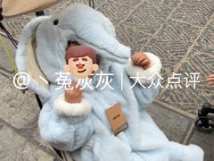 -野象谷景区