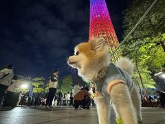 -海心沙亚运公园