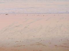 -日照灯塔风景区