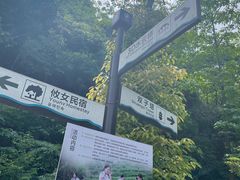 -酒仙湖景区