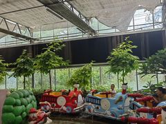 -南宫五洲植物乐园