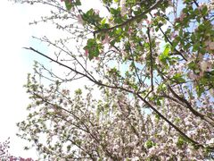 -元大都城垣遗址公园