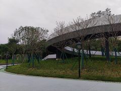 -映月湖公园