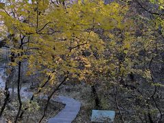 -大芦花风景区