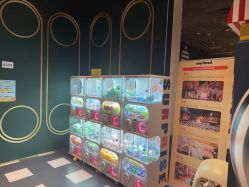 点击看大图 -meland club亲子乐园(北京芳圆里ID MALL店)