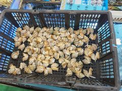 -金榜大酒店-中餐