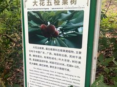 -野象谷景区